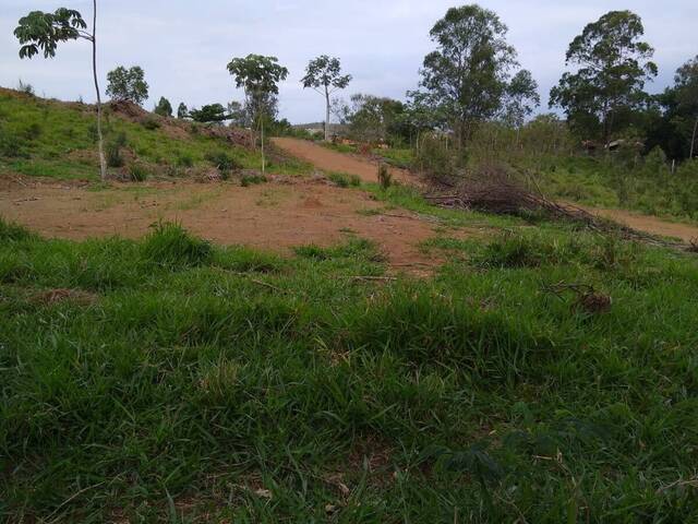 Venda em Boa Vista - Caçapava