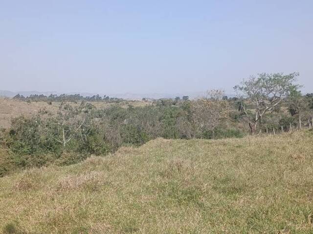 Área para Venda em Caçapava - 5